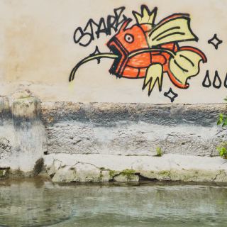 Un Magicarpe sauvage apparait !