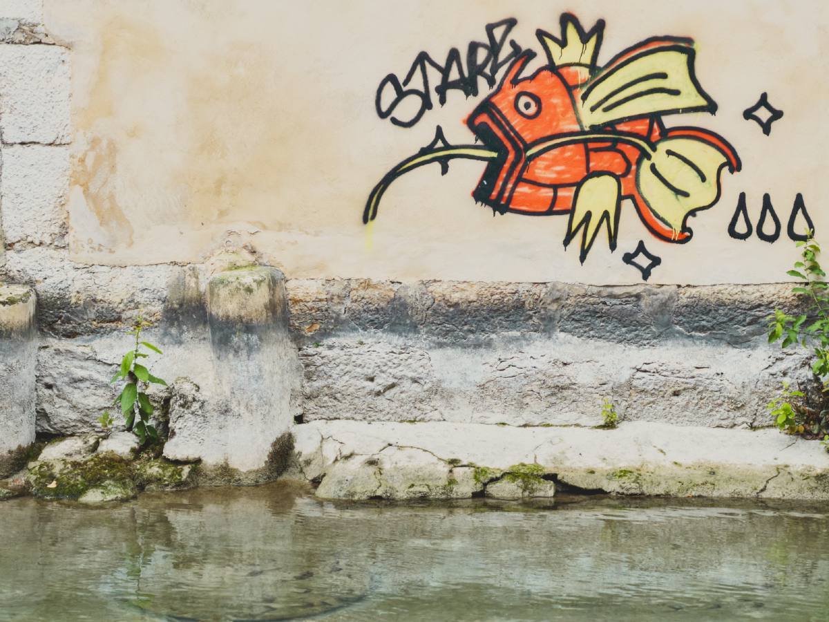 Un Magicarpe sauvage apparait !