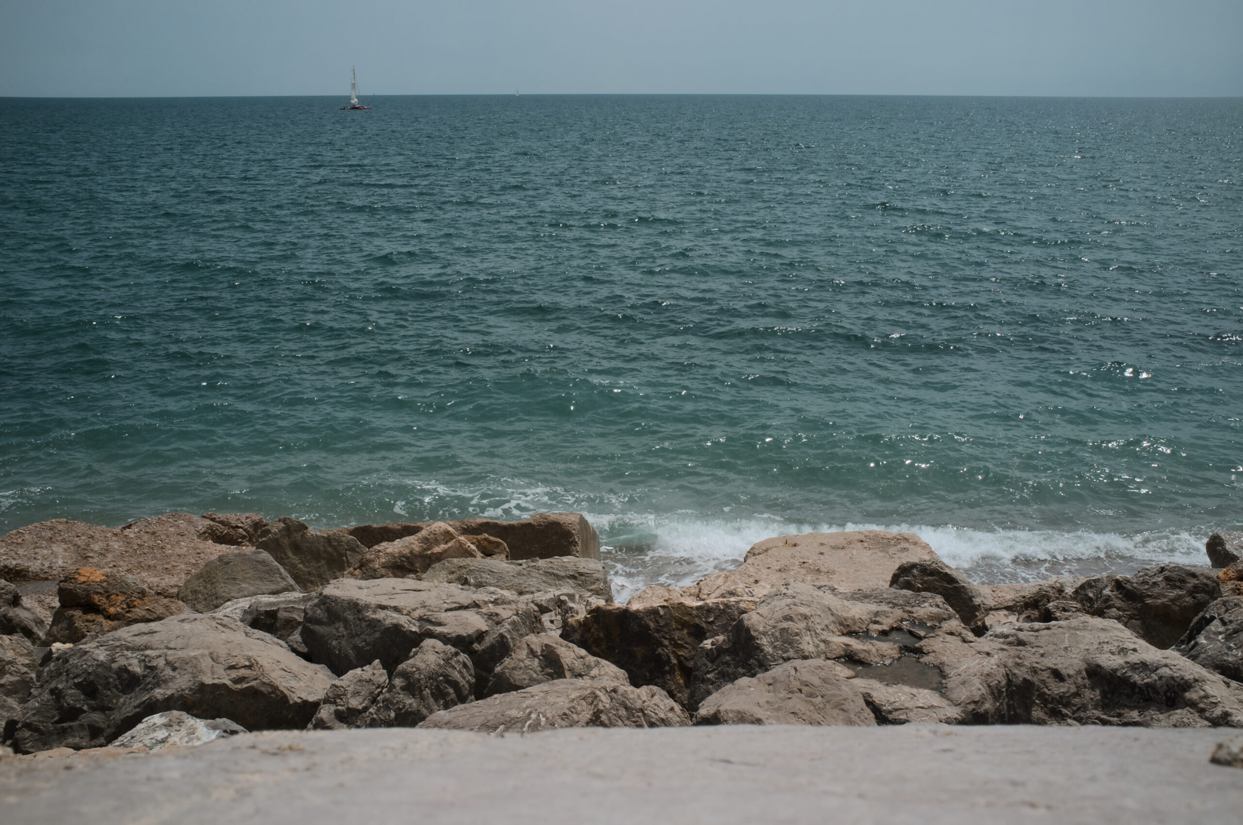 Google Wave : la prise de notes collaborative comme praxis